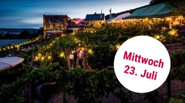 WVV Event am Stein